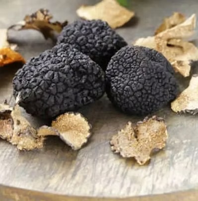 Australian black truffles